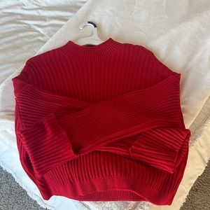 Red Everlane cotton sweater
